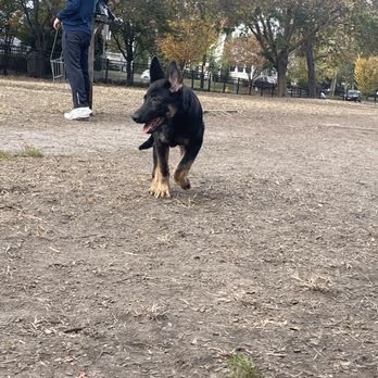 Ghent Dog Park
